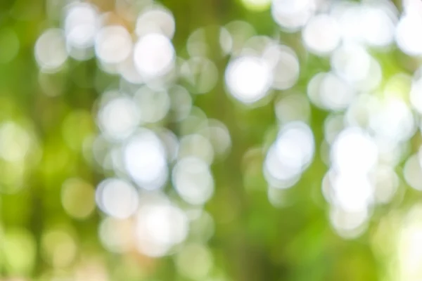 Grüne abstrakte Hintergrund boke — Stockfoto