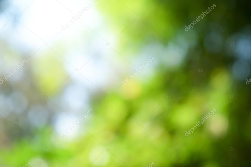 abstract background green boke