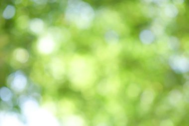 arka plan yeşil Böke