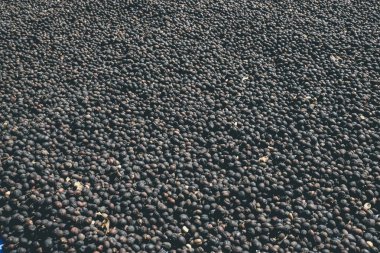 çilek kahve filtre etkisi retro vintage tarzı ile kurutulmuş