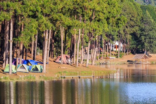 Cúpula tiendas junto al lago entre pinos —  Fotos de Stock