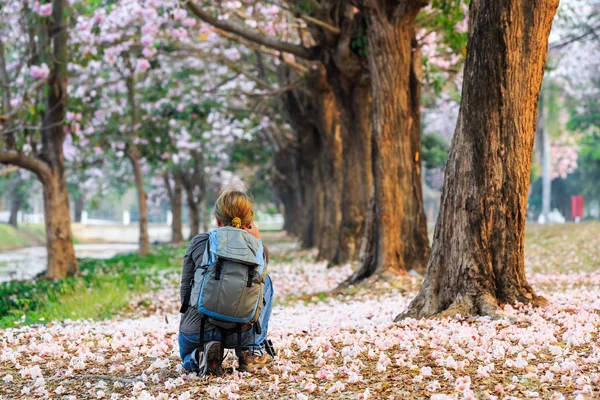 Pembe trompet ağaçlar resim çekmek — Stok fotoğraf