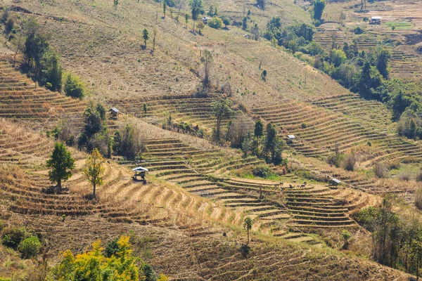 Çorak teraslı pirinç alan — Stok fotoğraf