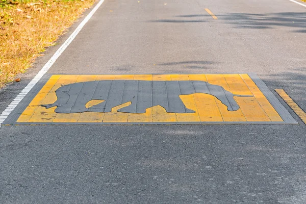 Beware of the elephant warning sign — Stock Photo, Image