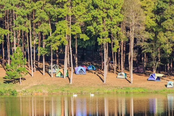 湖の横にあるキャンプ場 — ストック写真
