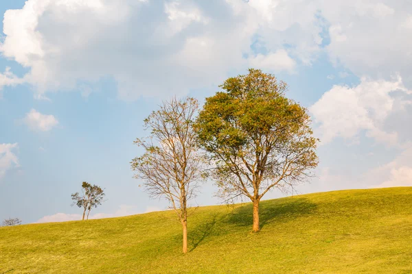 Nachylenie Hill w Doi Samer Dao — Zdjęcie stockowe