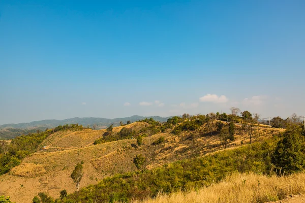 Decimated deforestation mountains — Stock Photo, Image