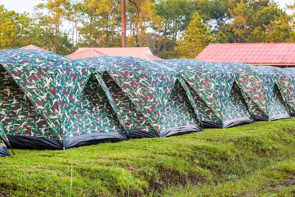 Dome tents in a row