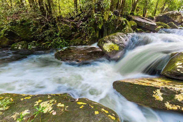 Phon Phop waterfall — Stock Photo, Image