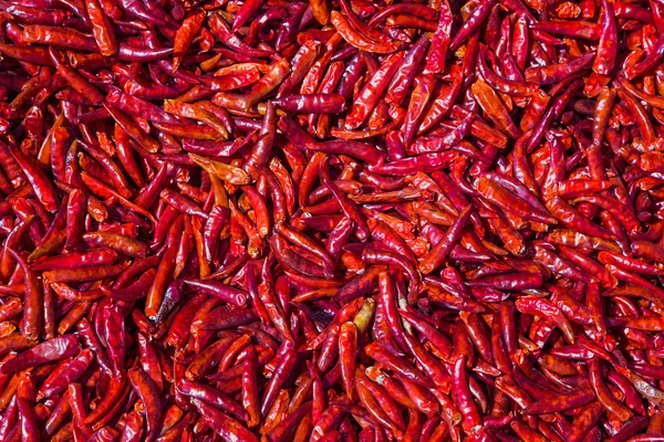 Gedroogde rode chili peper — Stockfoto