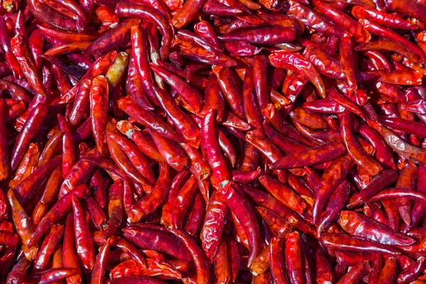 Gedroogde rode chili peper — Stockfoto