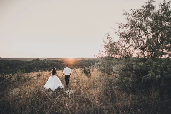 Bruiloft paar in zonsondergang droge zomer veld met een eenzame boom — Stockfoto