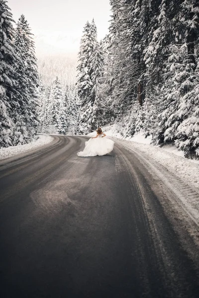  Gelin, karlı, uzun köknar ağaçlarının yanında yol boyunca koşar.