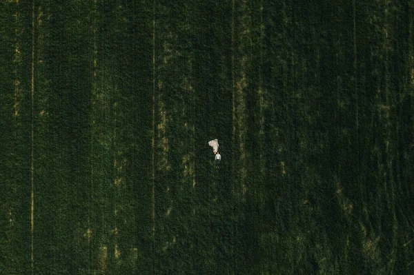 Doğadaki sahil gölü nehri kıyısındaki ahşap köprüde evli bir çift. Hava aracı üst görünümü