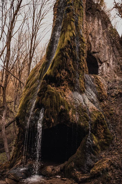 Una pequeña cascada en una montaña cubierta de musgo —  Fotos de Stock