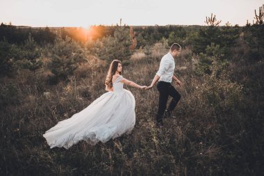 Gelin ve damat yazın gün batımında çayırda yürüyorlar.