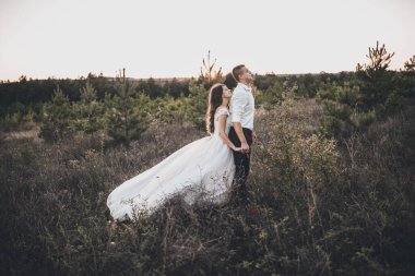 Gelin ve damat yazın gün batımında çayırda yürüyorlar.