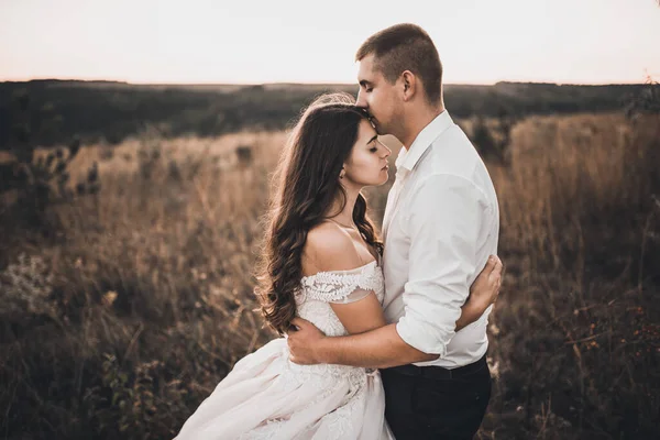 Brud och brudgum promenader på ängen i sommar vid solnedgången — Stockfoto