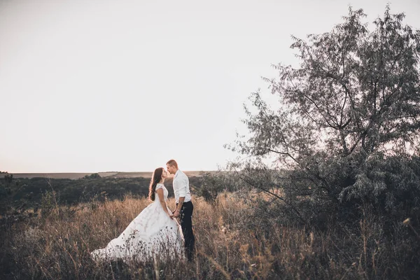 Gelin ve damat yazın gün batımında çayırda yürüyorlar. — Stok fotoğraf