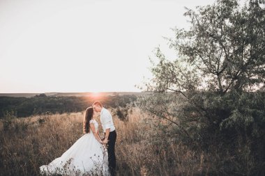 Gelin ve damat yazın gün batımında çayırda yürüyorlar.