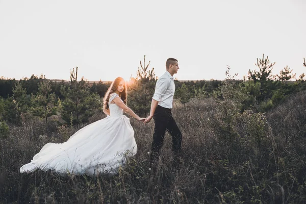 Nevěsta a ženich procházky na louce v létě při západu slunce — Stock fotografie
