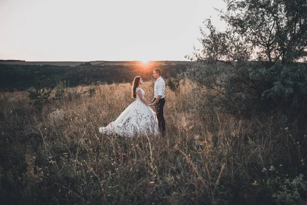 Gelin ve damat yazın gün batımında çayırda yürüyorlar. — Stok fotoğraf