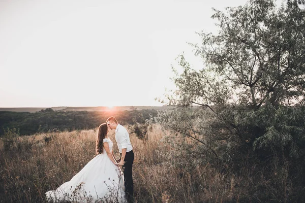 Gelin ve damat yazın gün batımında çayırda yürüyorlar. — Stok fotoğraf