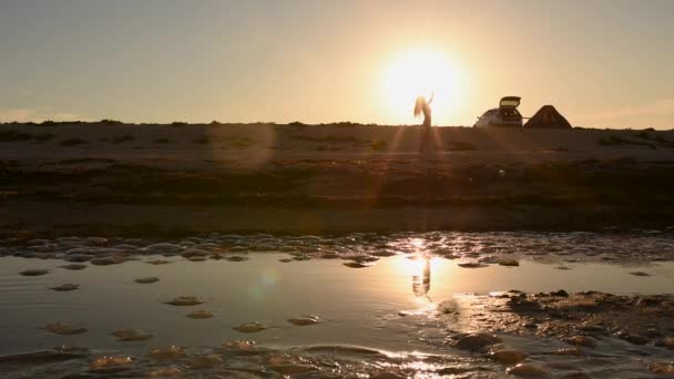 Mulher de biquíni maiô babados seu cabelo longo na praia contra o pôr do sol — Vídeo de Stock