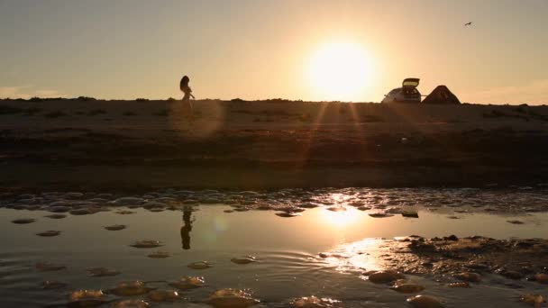 Žena v bikinách plavky s dlouhými vlasy běží podél pobřeží proti zapadajícímu slunci — Stock video
