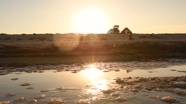 Mulher de biquíni maiô com cabelos longos senta-se na praia contra o pôr do sol — Vídeo de Stock