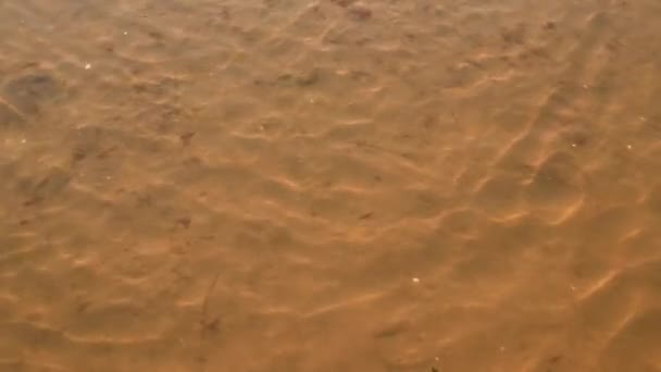 Fond de sable marin à travers l'eau de mer transparente — Video