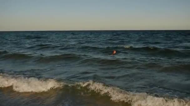 Genç seksi kadın gün batımında bikini mayosuyla denizde yüzer. — Stok video