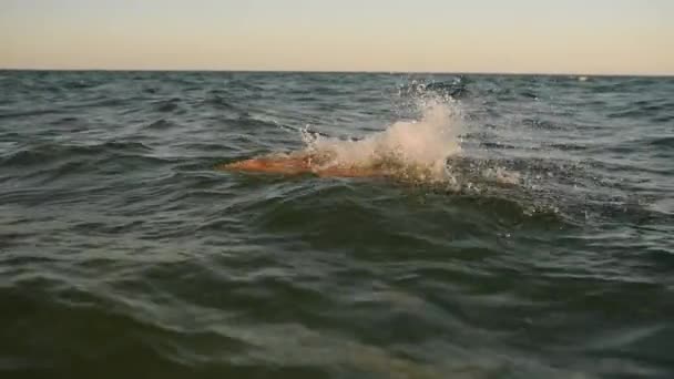 Genç seksi kadın gün batımında bikini mayosuyla denizde yüzer. — Stok video
