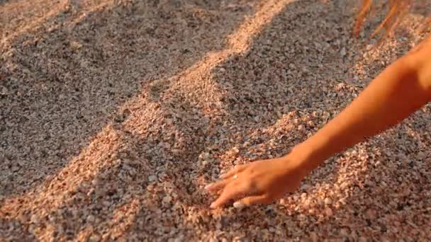Mano femminile di una giovane donna disegna un cuore su sabbia e ciottoli sulla spiaggia — Video Stock