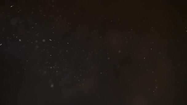 Abstrato brilhante voando caoticamente flocos de neve poeira em um fundo escuro — Vídeo de Stock
