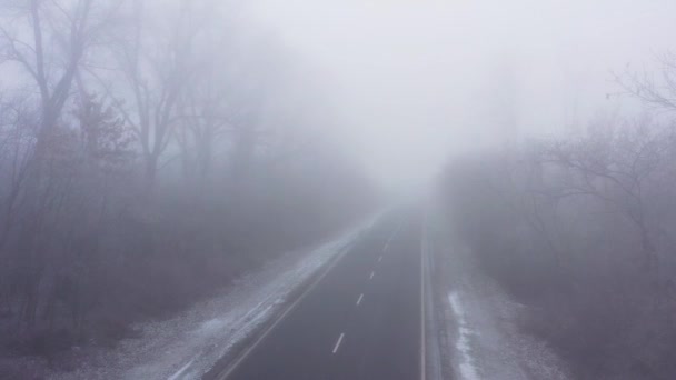 Camino de asfalto marcas blancas rodeadas de árboles en las heladas en invierno en el tiempo brumoso. Vídeo aéreo 4K de drone — Vídeos de Stock