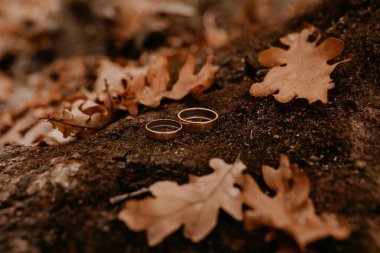 İki altın nişan yüzüğü, ağaçlardan dökülen portakallı meşe yaprakları arasında yosun ile kaplanmış bir taşın üzerinde duruyor.