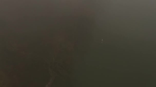 Один чоловік плаває на дошці на річці в дуже густому тумані — стокове відео