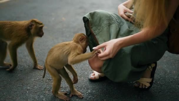 Monkey strongly bites a girl in a green dress by the leg. — Stock Video