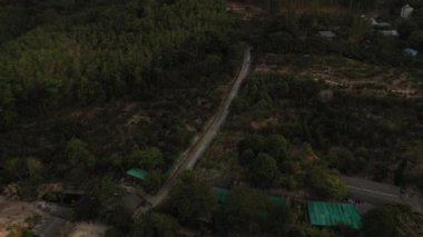 İnsansız hava aracı gün batımından sonra orman ve deniz üzerinde uçuyor.