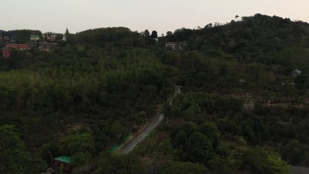 Drönare flygning över djungeln och havet, stad Efter solnedgången — Stockvideo