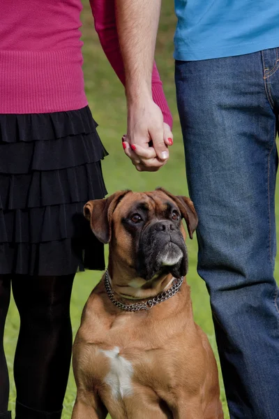 Pareja sosteniendo las manos con su perro — Foto de Stock