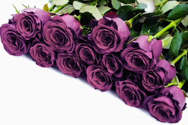 Bouquet of Purple Roses — Stock Photo, Image