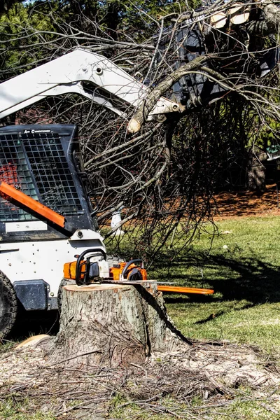 Dozer enlever de lourdes quantités de membres et de branches arbre coupé — Photo