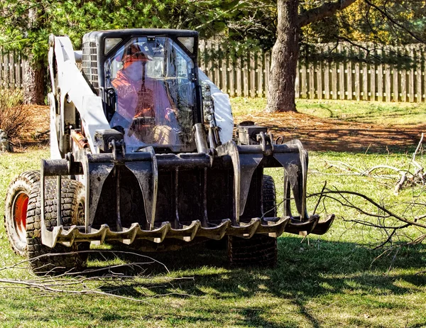 Dozer Assisting in Tree Removal — Stock Photo, Image