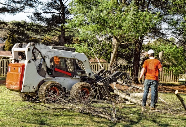 Man helpen Dozer terwijl verwijderen zware bedragen van ledematen en takken boom gekapt Rechtenvrije Stockfoto's