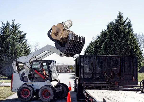 Dozer dumpen van grote logboeken in vrachtwagen Stockfoto