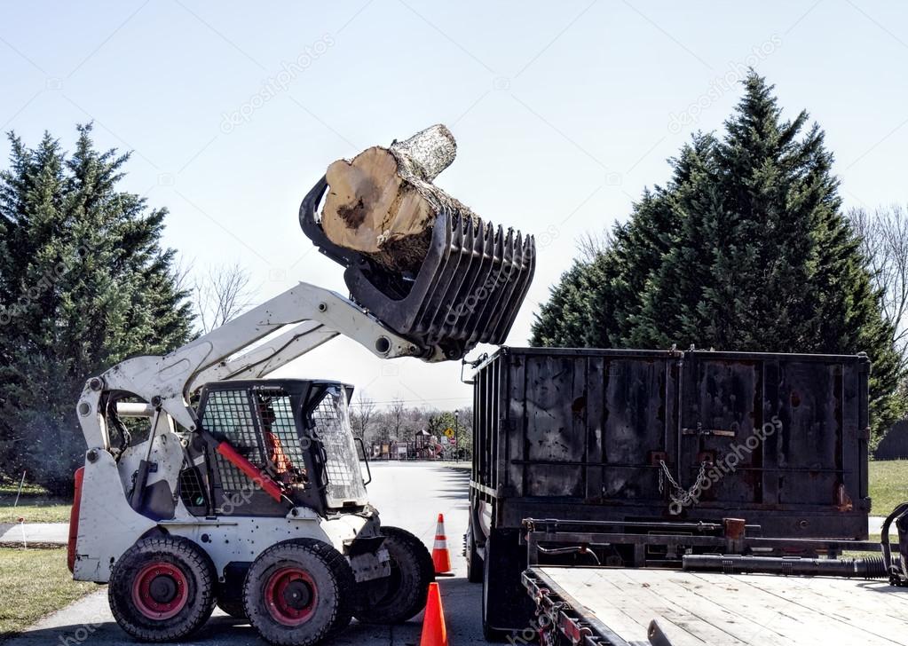 Dozer dumping large Logs into truck