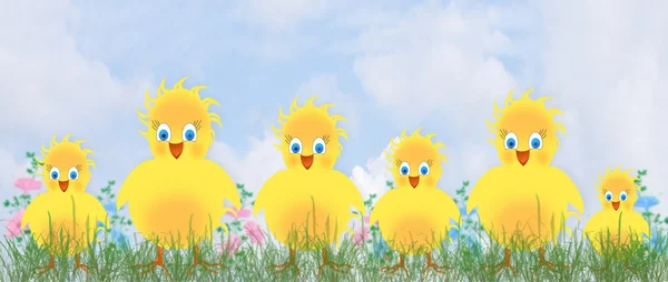 Happy Yellow Chicks - Fond / Illustration / Graphiques — Photo