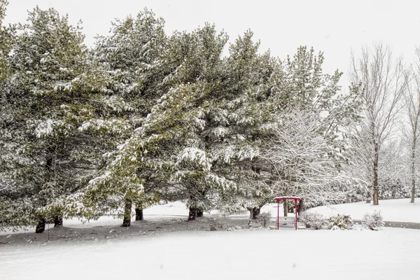 Back yard of home after Snow Storm — Stock Photo, Image